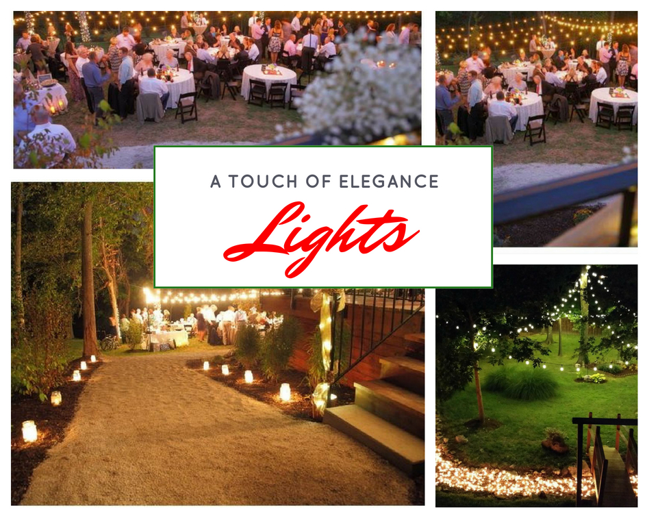 elegant wedding lights 