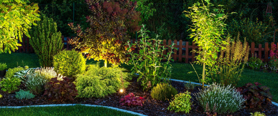 flower bed with professional landscape lighting